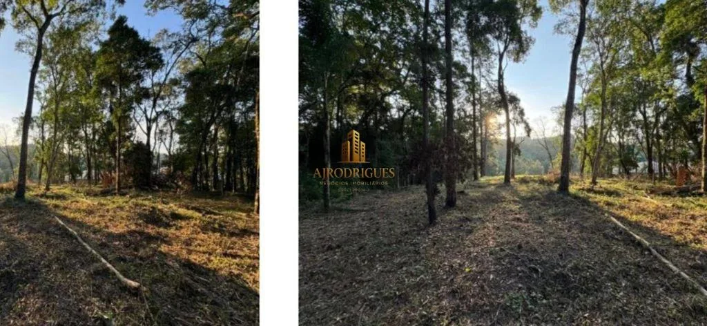 Terreno para Venda em São Roque, Sorocamirim (Canguera)