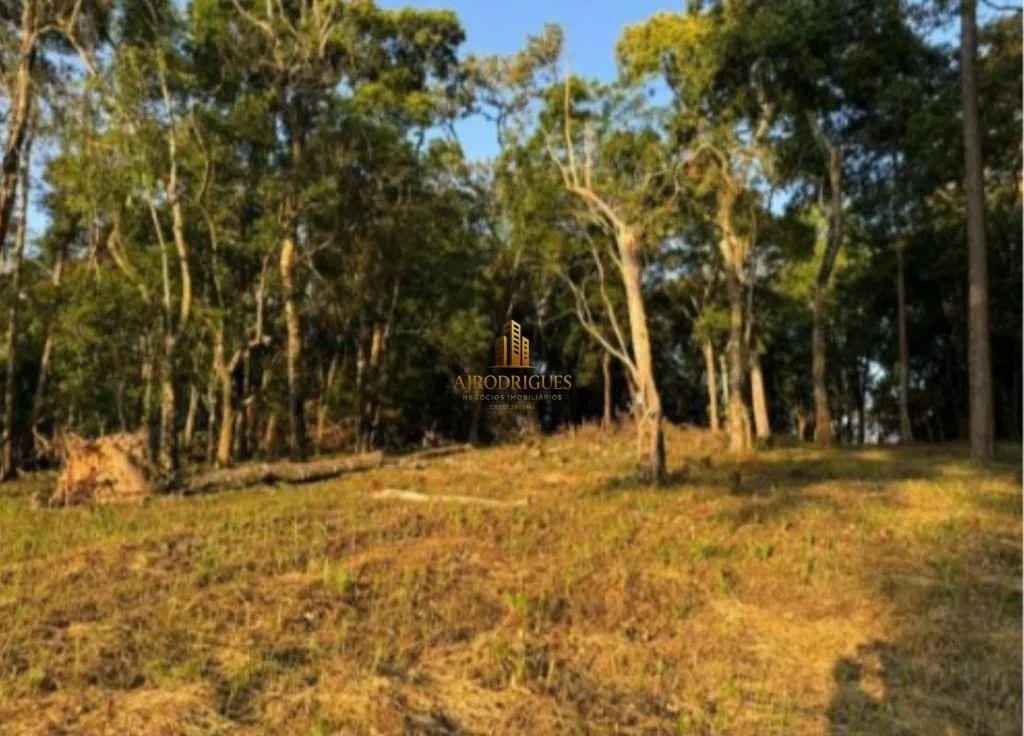 Terreno para Venda em São Roque, Sorocamirim (Canguera)