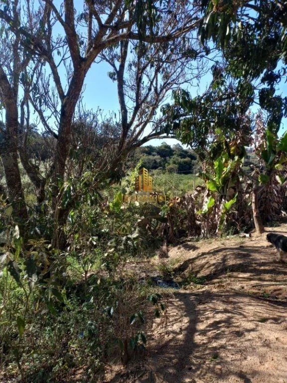 Terreno para Venda em Mairinque, Setúbal