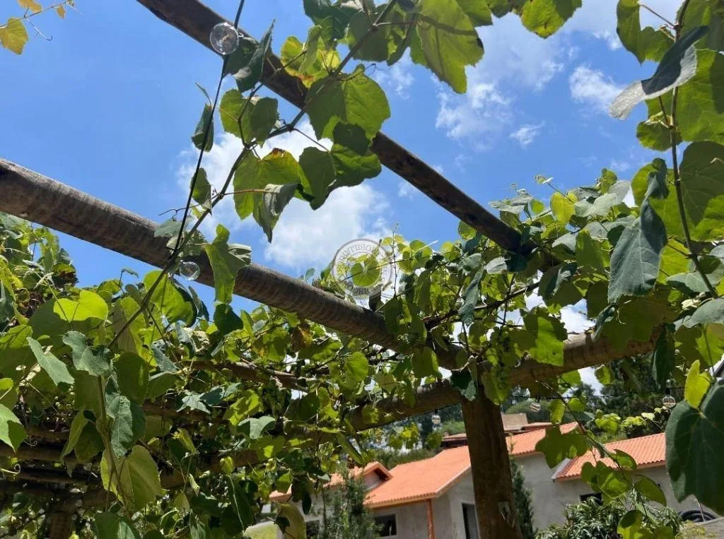 Casa em Condomínio para Venda em São Roque, Jardim Cardoso (Mailasqui), 4 dormitórios, 4 suítes, 5 banheiros, 4 vagas