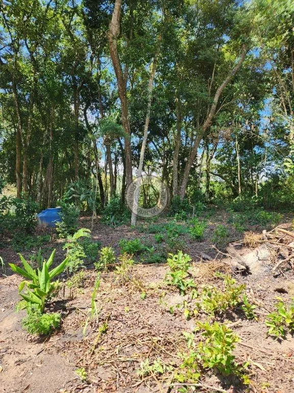 Casa para Venda em São Roque, Sorocamirim (Canguera), 2 dormitórios, 1 suíte, 2 banheiros, 5 vagas