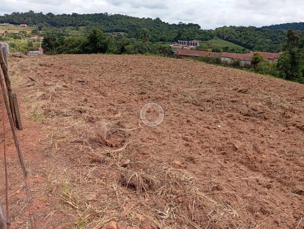 Terreno Comercial para Venda em São Roque, Centro
