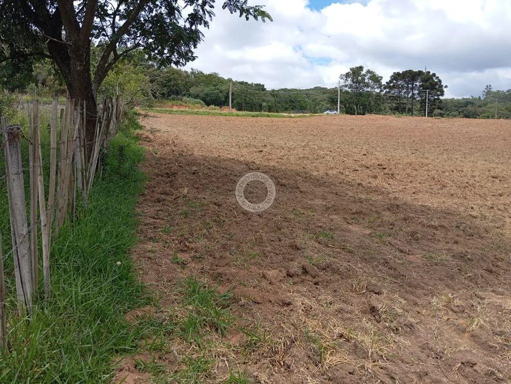 Terreno Comercial para Venda em São Roque, Centro