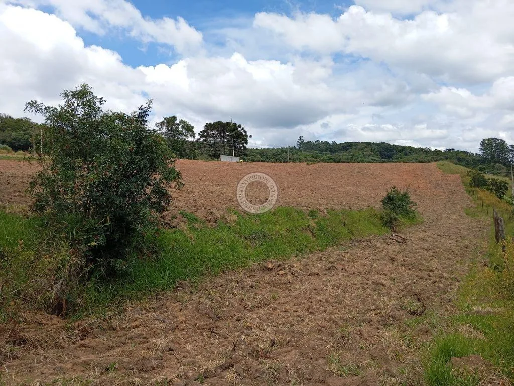 Terreno Comercial para Venda em São Roque, Centro
