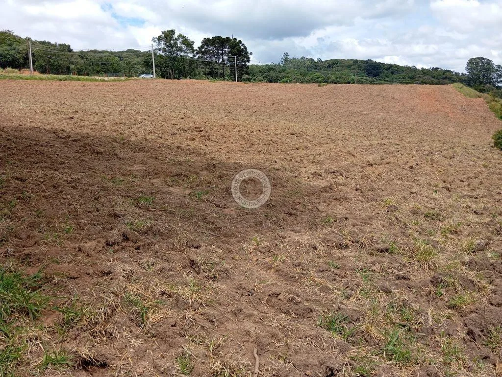 Terreno Comercial para Venda em São Roque, Centro