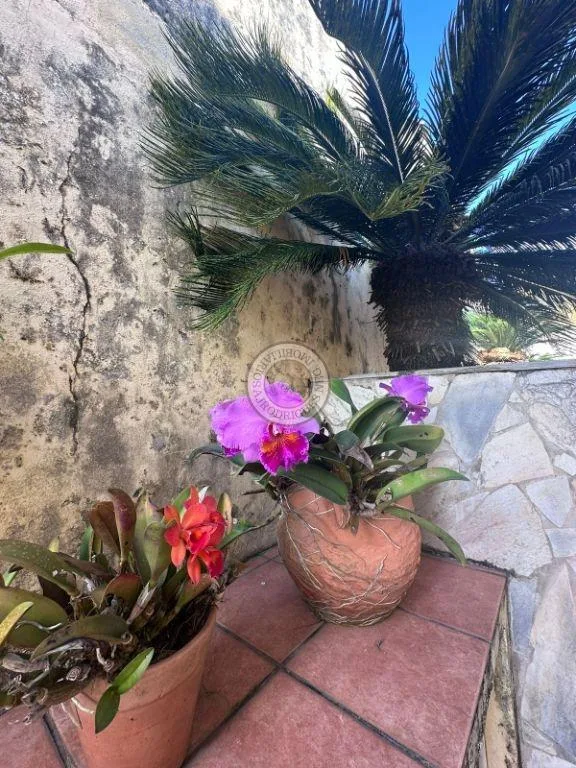 Casa para Venda em São Roque, Jardim Flórida, 3 dormitórios, 1 suíte, 2 banheiros, 6 vagas