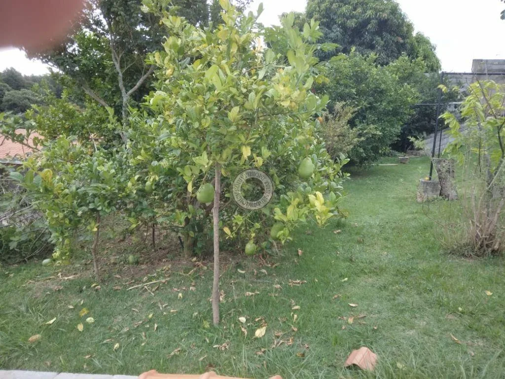 Casa para Venda em São Roque, Saboó, 3 dormitórios, 1 suíte, 4 banheiros, 10 vagas