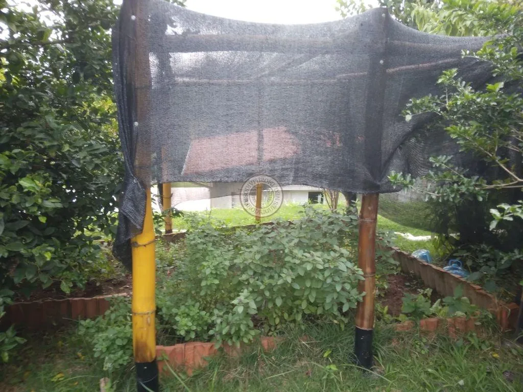 Casa para Venda em São Roque, Saboó, 3 dormitórios, 1 suíte, 4 banheiros, 10 vagas