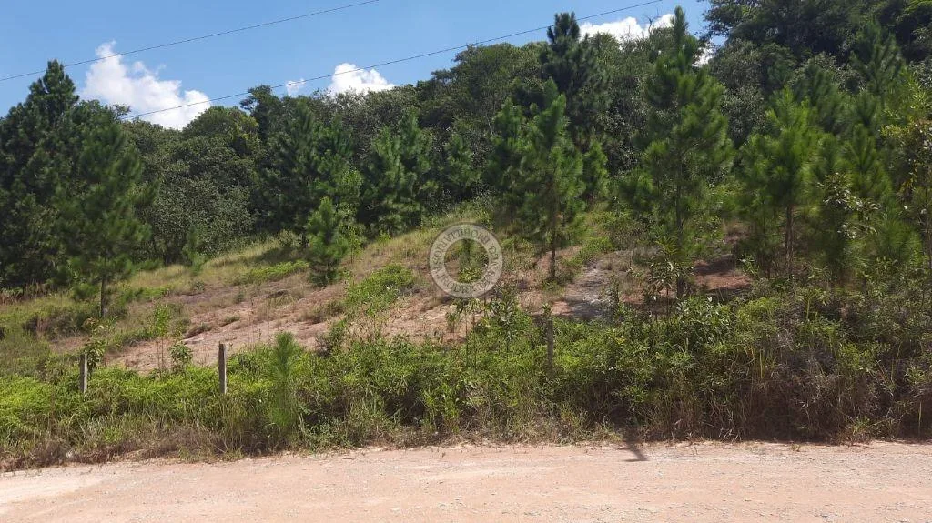 Terreno para Venda em São Roque, Planalto Verde