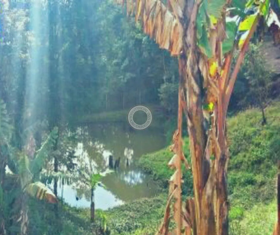 Terreno para Venda em São Roque, Loteamento Chácaras Boqueirão (São João Novo)