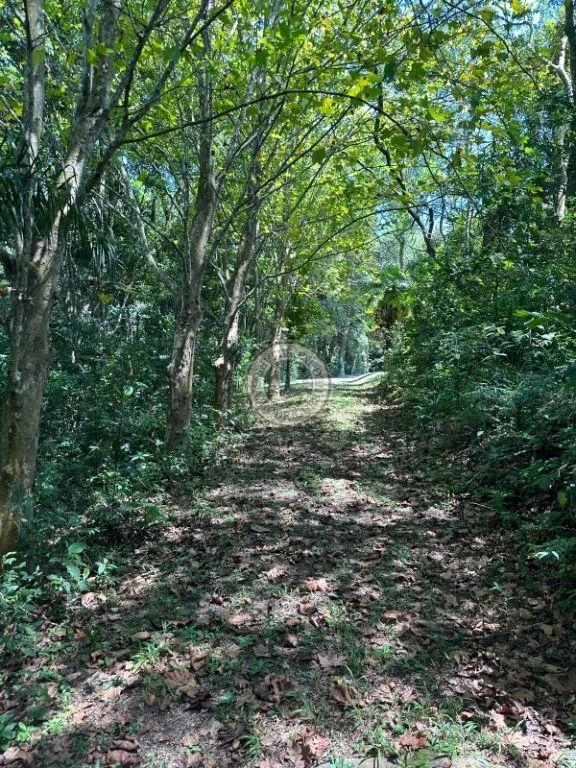 Casa para Venda em São Roque, Vila Darcy Penteado (Mailasqui), 3 dormitórios, 3 suítes, 5 banheiros
