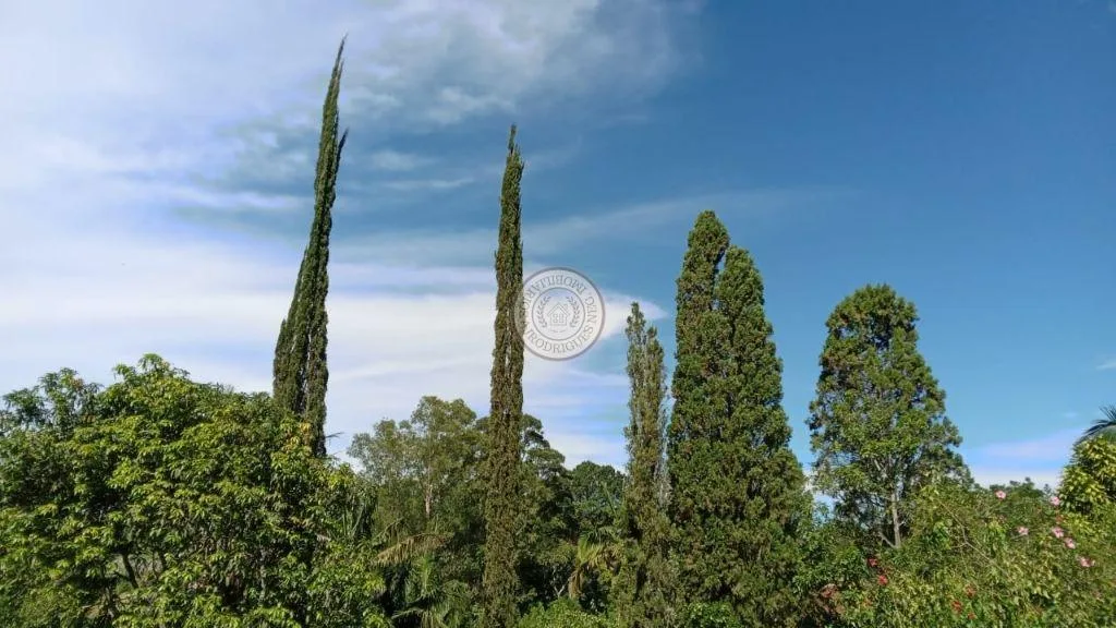 Casa para Venda em São Roque, Vila Darcy Penteado (Mailasqui), 3 dormitórios, 3 banheiros, 5 vagas