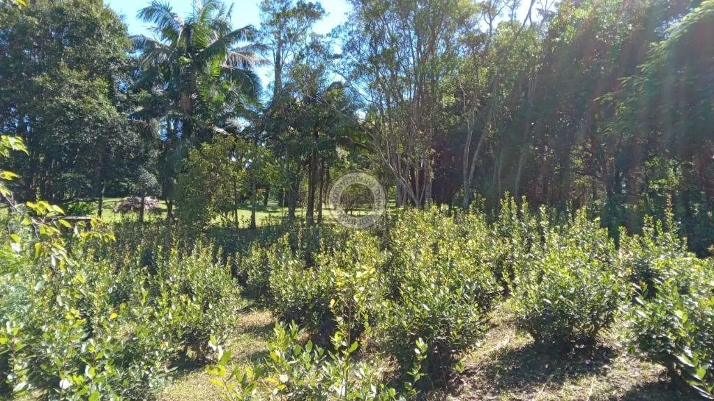Casa para Venda em São Roque, Vila Darcy Penteado (Mailasqui), 3 dormitórios, 3 banheiros, 5 vagas