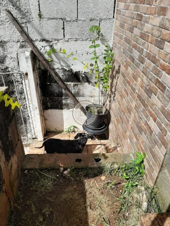 Casa para Venda em São Roque, Jardim Esther, 3 dormitórios, 1 suíte, 2 banheiros, 2 vagas