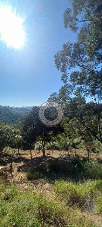 Terreno para Venda em São Roque, Vila Vilma (Mailasqui)