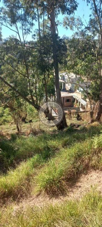 Terreno para Venda em São Roque, Vila Vilma (Mailasqui)