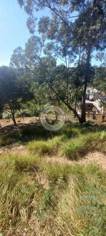 Terreno para Venda em São Roque, Vila Vilma (Mailasqui)