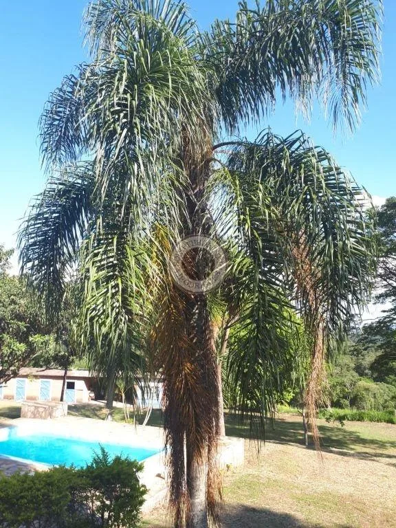 Casa para Venda em São Roque, Pavão (Canguera), 3 dormitórios, 2 suítes, 3 banheiros, 4 vagas
