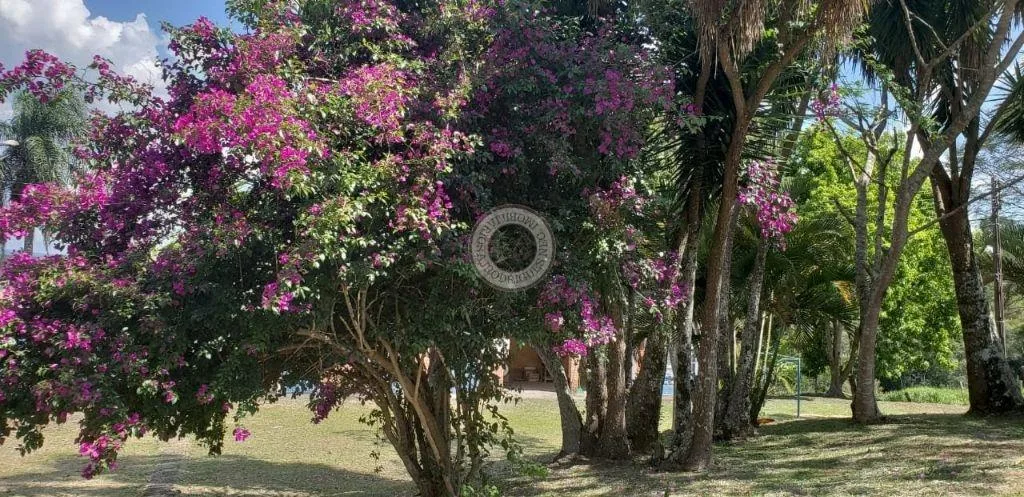 Casa para Venda em São Roque, Pavão (Canguera), 3 dormitórios, 2 suítes, 3 banheiros, 4 vagas