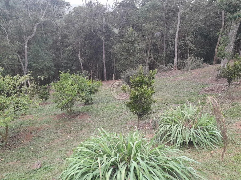 Casa para Venda em São Roque, Volta Grande (São João Novo), 4 dormitórios, 2 suítes, 3 banheiros, 1 vaga
