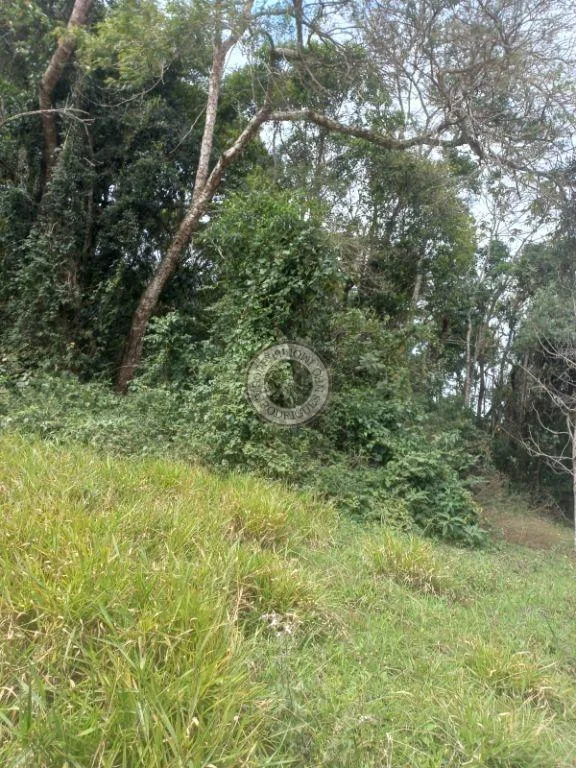 Terreno para Venda em São Roque, Planalto Verde