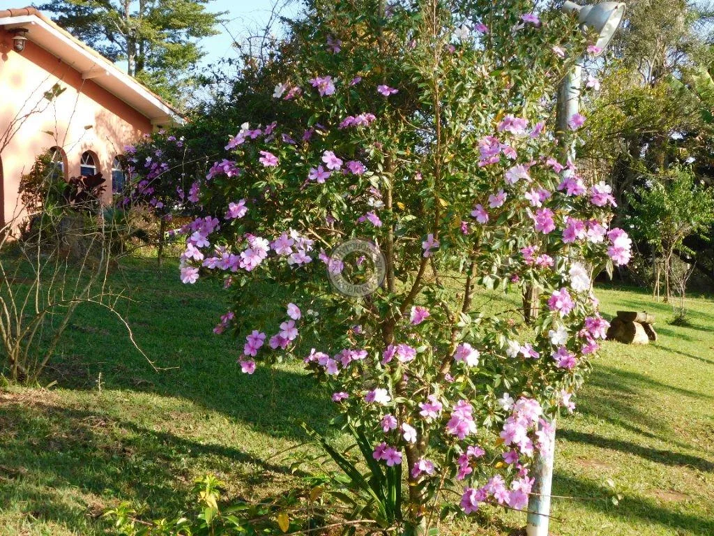 Casa para Venda em São Roque, Recanto das Acácias, 2 dormitórios, 1 banheiro, 2 vagas
