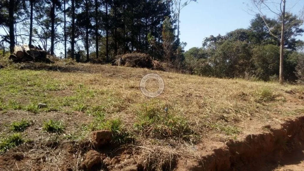 Terreno para Venda em São Roque, Caete (Mailasqui)