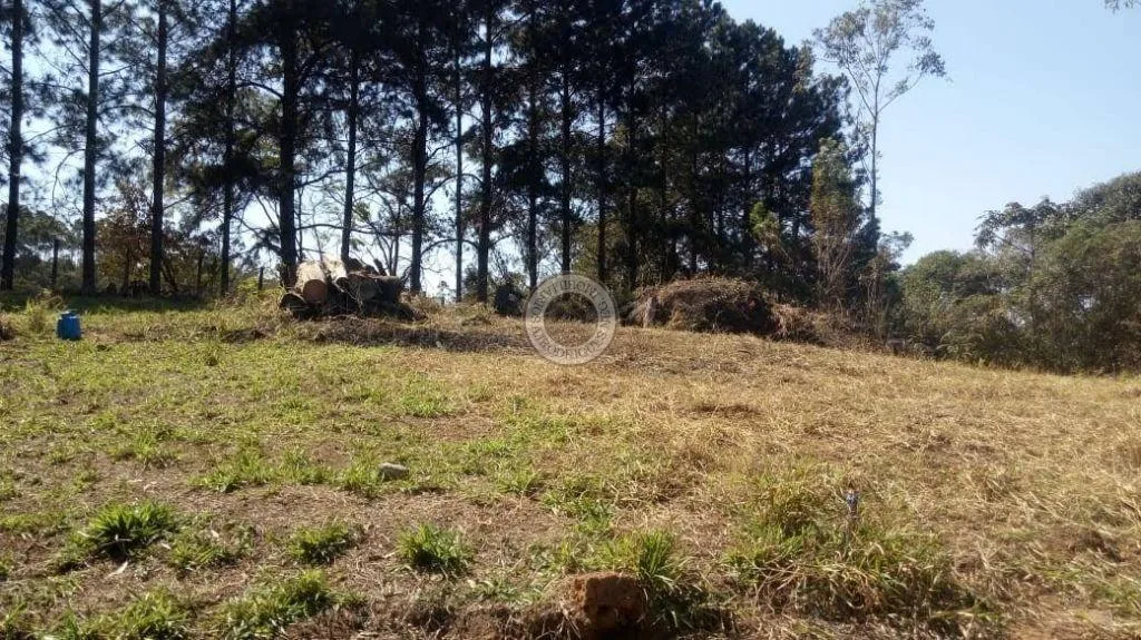 Terreno para Venda em São Roque, Caete (Mailasqui)