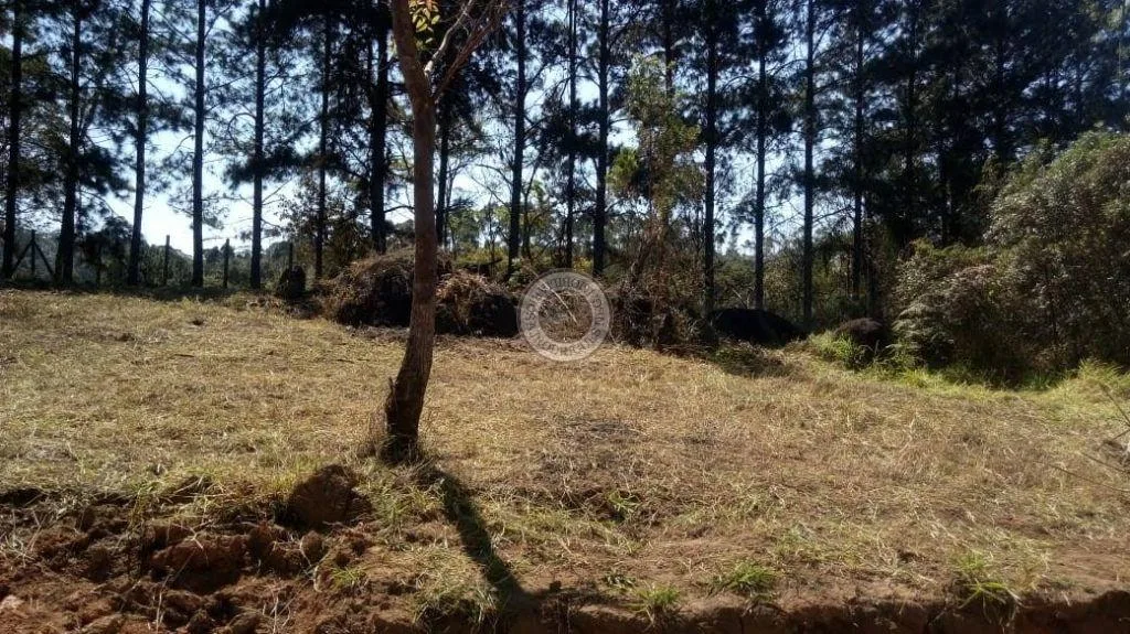 Terreno para Venda em São Roque, Caete (Mailasqui)