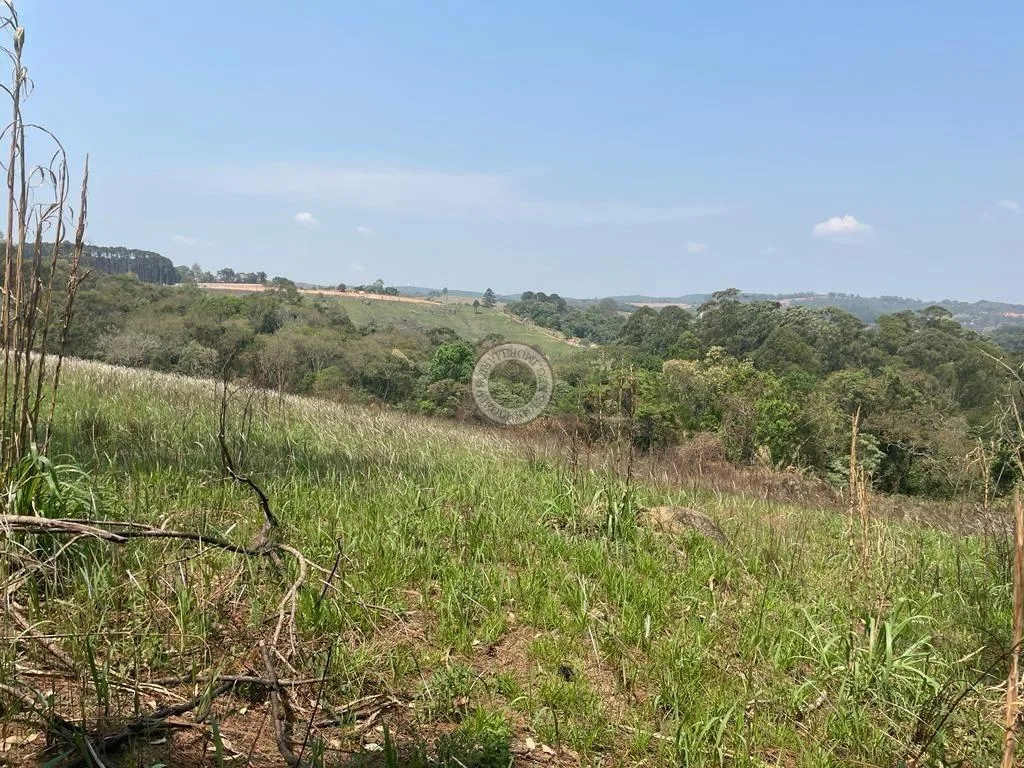 Terreno para Venda em São Roque, Taboão