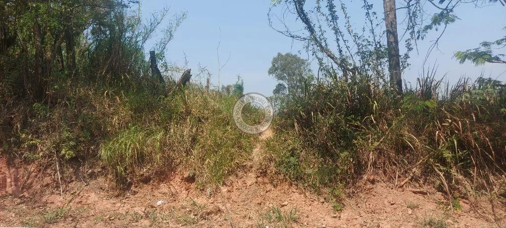 Terreno para Venda em São Roque, Taboão