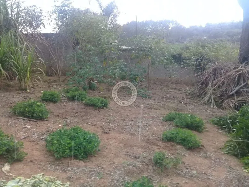 Terreno para Venda em São Roque, Centro (Canguera)