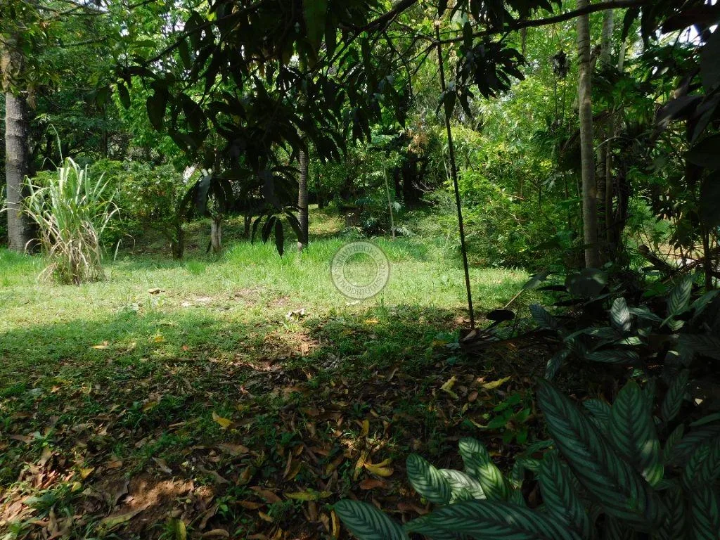 Casa para Venda em São Roque, Mombaça, 5 dormitórios, 1 suíte, 2 banheiros