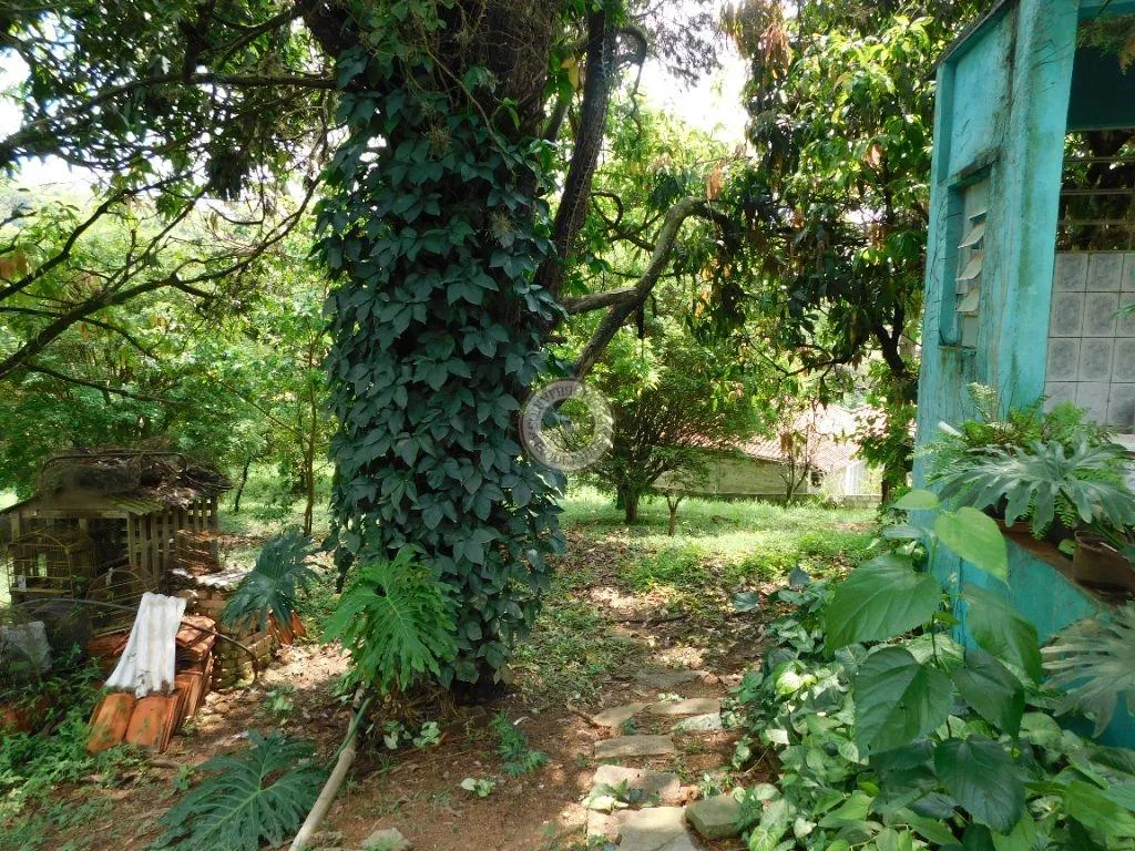 Casa para Venda em São Roque, Mombaça, 5 dormitórios, 1 suíte, 2 banheiros