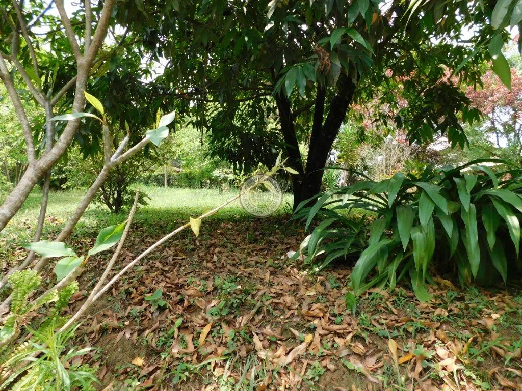Casa para Venda em São Roque, Mombaça, 5 dormitórios, 1 suíte, 2 banheiros