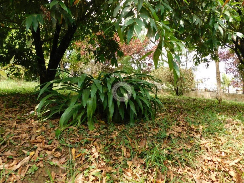 Casa para Venda em São Roque, Mombaça, 5 dormitórios, 1 suíte, 2 banheiros