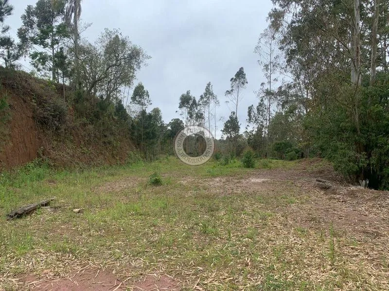 Terreno para Venda em São Roque, Pavão (Canguera)
