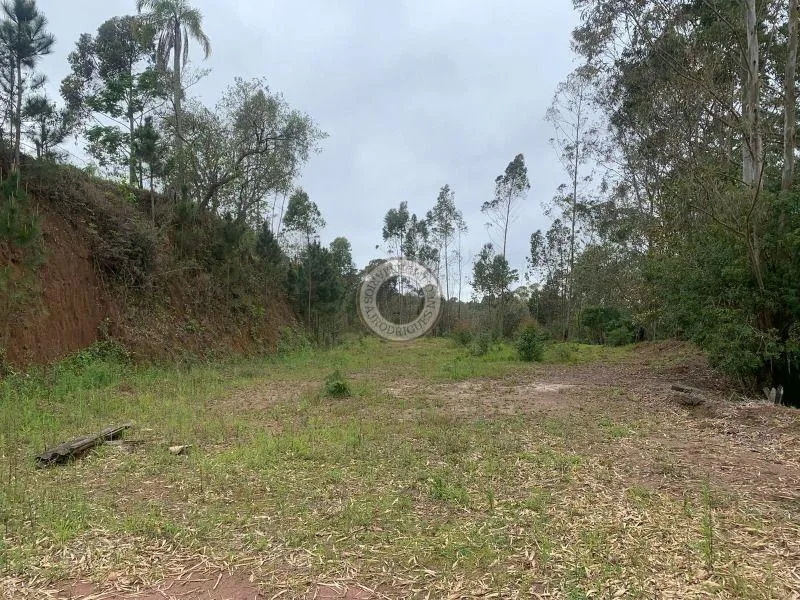 Terreno para Venda em São Roque, Pavão (Canguera)