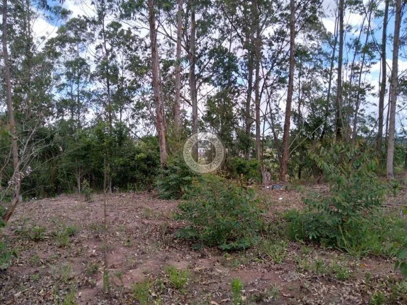 Terreno para Venda em São Roque, Pavão (Canguera)