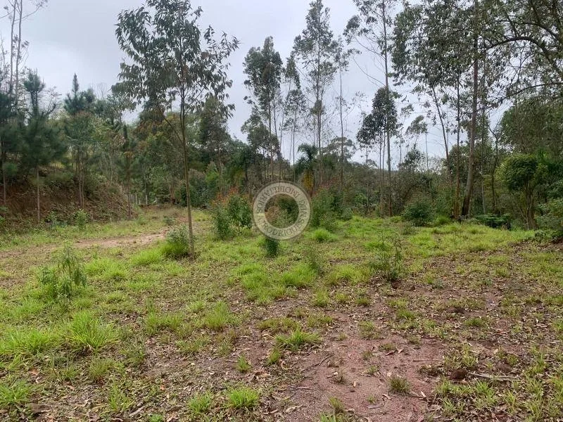 Terreno para Venda em São Roque, Pavão (Canguera)