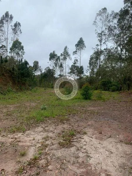 Terreno para Venda em São Roque, Pavão (Canguera)
