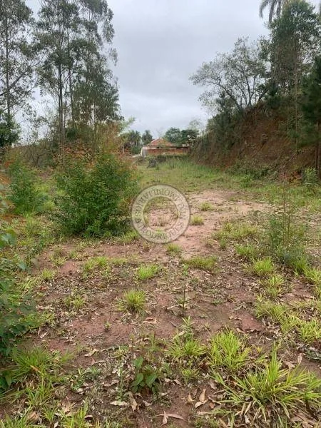 Terreno para Venda em São Roque, Pavão (Canguera)