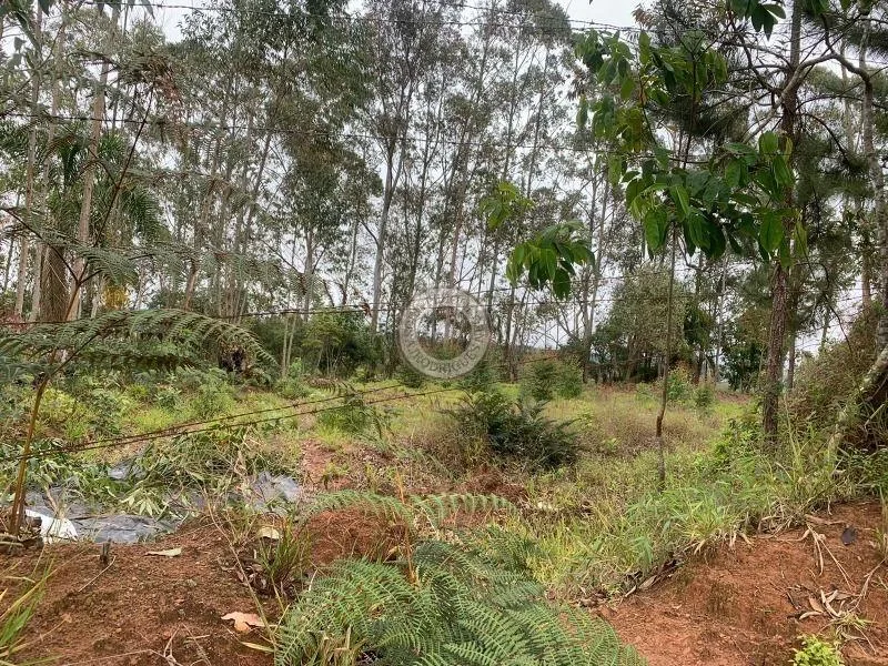 Terreno para Venda em São Roque, Pavão (Canguera)