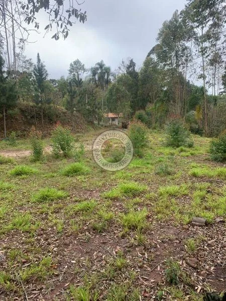 Terreno para Venda em São Roque, Pavão (Canguera)