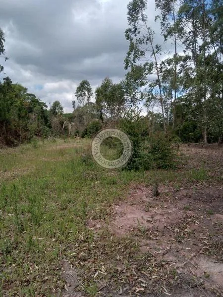 Terreno para Venda em São Roque, Pavão (Canguera)