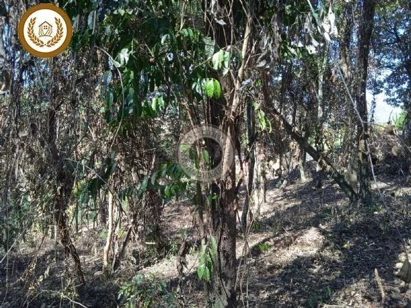 Terreno para Venda em São Roque, Saboó