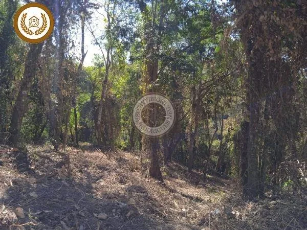 Terreno para Venda em São Roque, Saboó
