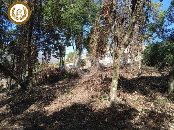 Terreno para Venda em São Roque, Saboó