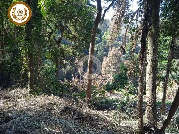 Terreno para Venda em São Roque, Saboó