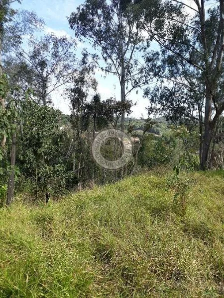 Terreno para Venda em São Roque, Centro (Mailasqui)